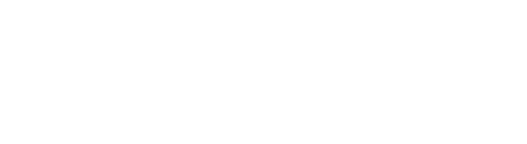 Logo VSFIRE